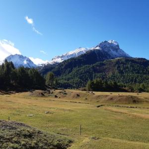 a field with snow capped mountains in the background at Lovely 3 Bedroom Apt. in Maloja