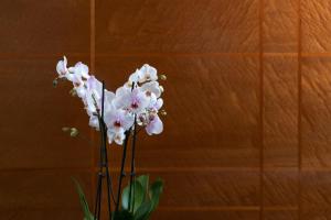 Fotografie z fotogalerie ubytování COMO The Halkin v Londýně