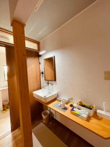 een badkamer met een wastafel en een aanrecht met een spiegel bij HIROSAKI清水森はうす in Hirosaki