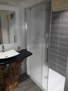 a bathroom with a shower and a sink at En PASSANT PAR LA LORRAINE' in Elvange