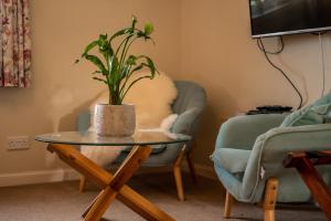 uma planta em vaso sentada numa mesa de vidro ao lado de duas cadeiras em Carters Rest Guesthouse em Milovaig