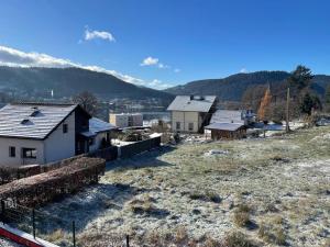 a group of houses on top of a hill at Entre Lac et Montagne 4/6 personnes in Gérardmer