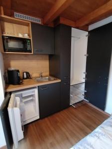 una pequeña cocina con fregadero y microondas en Les Comblés des Combes, en Ollon