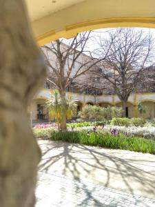 vistas a un edificio con jardín de flores en Entre théâtre et Rhône, 87 m2 terrasse clim wifi Arles Camargue, en Arles