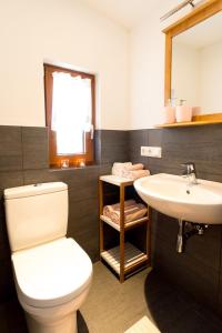 ein Badezimmer mit Toilette und Waschbecken in der Unterkunft Alpenchalet Sachrang in Sachrang