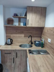 uma cozinha com um lavatório e uma bancada em Apartman Herceg em Mostar