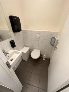 a small bathroom with a toilet and a sink at Baron's Hostel in Reykjavík