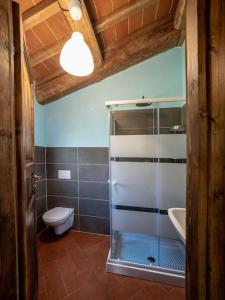 uma casa de banho com um WC e uma cabina de duche em vidro. em La Casa Lemuria - Süd-Toscana em Zancona