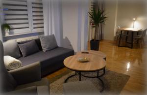 a living room with a couch and a table at Apartament Gwiazda 303 in Krynica Zdrój