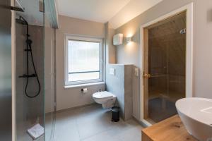 a bathroom with a toilet and a shower and a sink at Alm-Chalet Exclusive 4 in Clausthal-Zellerfeld