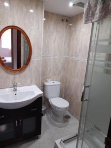 a bathroom with a toilet and a sink and a mirror at Apartamento Sostoa 4 in Málaga