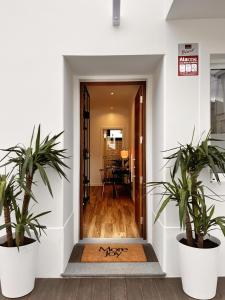 een hal met twee potplanten op een tapijt bij Eva Boutique Apartment in Funchal