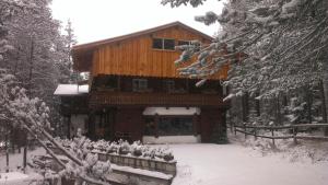 una baita di tronchi nella neve con alberi innevati di B&B Villa Dolomites Hut a San Vigilio Di Marebbe