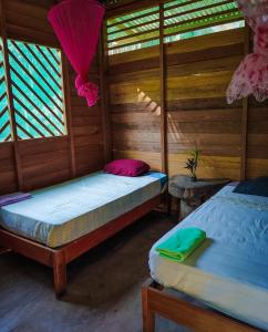 two beds in a room with wooden walls and windows at ROSA'S HOUSE in Puerto Maldonado