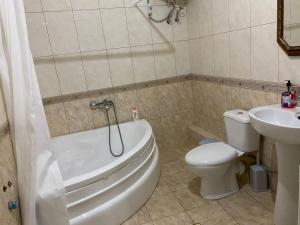 科爾察的住宿－Vila 38，一间带卫生间和水槽的浴室