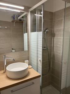 Koupelna v ubytování La Bartavelle - Petit duplex avec balcon à proximité des pistes + 7 fotografií