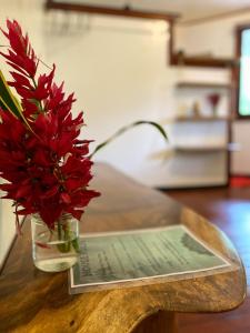 un jarrón con flores rojas sentado en una mesa en La Ruka Hostel en Puerto Viejo