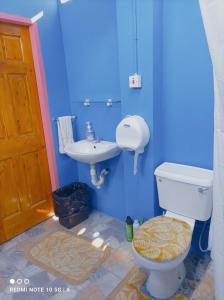 bagno blu con servizi igienici e lavandino di DesMaries Pleasantville a San Fernando