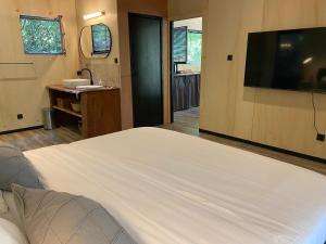 a bedroom with a large bed and a television at SUBLIME CHALET*JACUZZI*JARDIN*PLANCHA*CLIM*WIFI* in Meyreuil