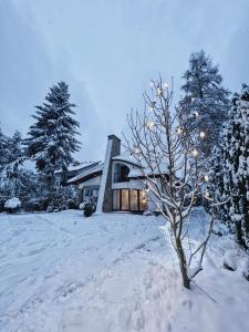 a house in the snow with a tree in the foreground at Zarabie Residence in Myślenice