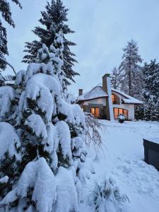 a snow covered pine tree in front of a house at Zarabie Residence in Myślenice