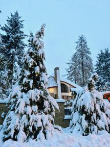 a snow covered christmas tree in front of a house at Zarabie Residence in Myślenice