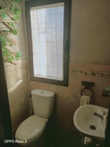 a bathroom with a toilet and a sink and a window at Apartamento un Dormitorio in Valdepeñas