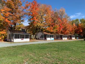 a row of houses in the fall with trees at carrollmotel and cottages in Twin Mountain