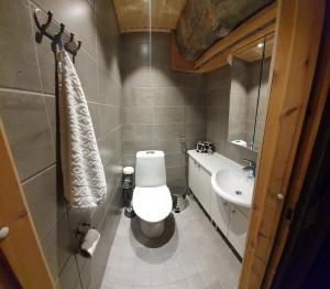 een kleine badkamer met een toilet en een wastafel bij Viprakka in Levi
