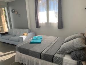 樂迪亞曼特的住宿－Bleu Cannelle et Petimo，一间卧室配有一张床和一张沙发