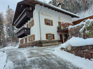 Alpenrose v zime