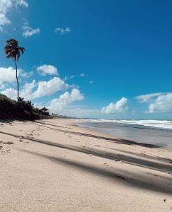 uma praia com uma palmeira e o oceano em Suites Carioca em Porto de Galinhas