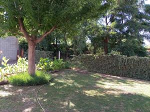 a garden with a tree in the middle of a yard at Soleaditos in Mina Clavero