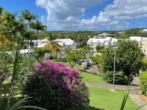 a view of a park with flowers and houses at Gîte Le Gecko - Le Gosier in Saint-Félix