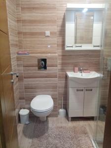 a bathroom with a toilet and a sink at Apartman Gakić 2 in Nova Varoš