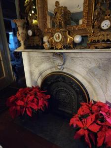 a fireplace with two red flowers and a mirror at House of 1833 Bed and Breakfast in Mystic