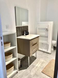 een badkamer met een wastafel, een spiegel en een toilet bij Duplex au coeur du village in Les Mées