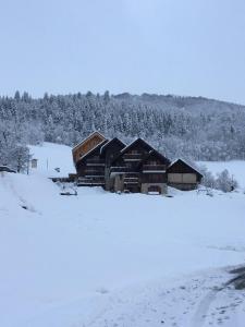 Chalet Lucie LE CHEVAL NOIR v zimě