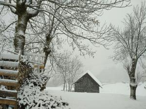 Chalet Lucie LE CHEVAL NOIR v zimě