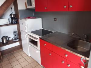 Kuchyň nebo kuchyňský kout v ubytování Chalet Lucie LE CHEVAL NOIR
