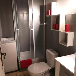 a small bathroom with a toilet and a shower at Chalet Lucie LE CHEVAL NOIR in Valmorel