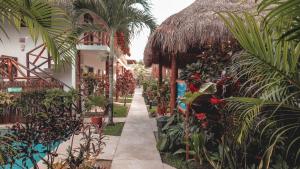 un camino a través de un jardín con palmeras y plantas en Azul 36 Hotel, en Bacalar