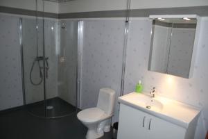 e bagno con doccia, servizi igienici e lavandino. di Nice house with new bathroom, good accessibility 