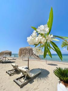 a beach with two lounge chairs and a palm tree at Byblos Mare in Skala Sotiros