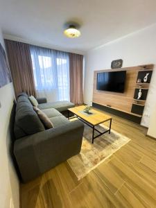 a living room with a couch and a flat screen tv at Apartman Maksim Ravna Planina in Pale