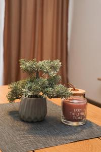 a bonsai tree in a pot on a table at Apartman Maksim Ravna Planina in Pale