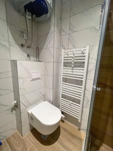 a white bathroom with a toilet and a shower at Apartman Maksim Ravna Planina in Pale