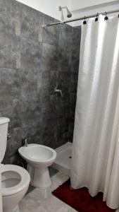 コルドバにあるPiscis Iのバスルーム(トイレ、シャワーカーテン付)