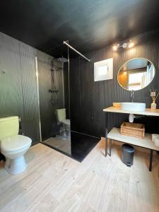 uma casa de banho com um WC, um lavatório e um espelho. em Superbe Cabane JACUZZI JARDIN CLIM WIFI PARKING em Meyreuil