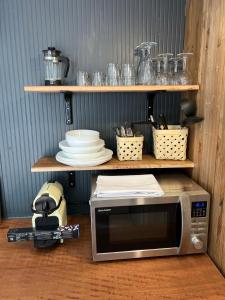 uma cozinha com micro-ondas e pratos nas prateleiras em Superbe Cabane JACUZZI JARDIN CLIM WIFI PARKING em Meyreuil
